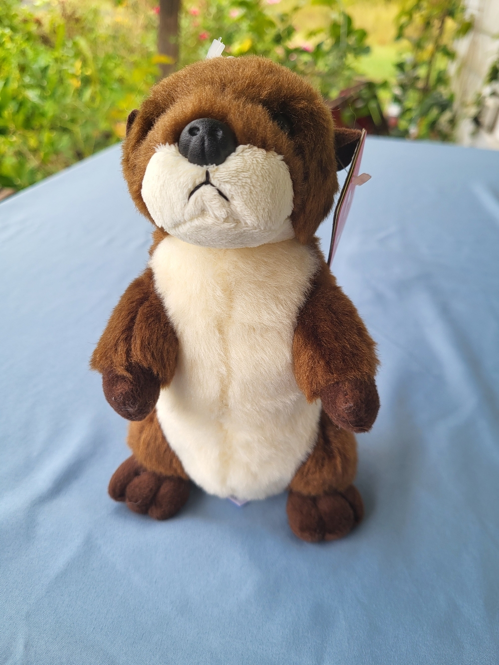 Aurora River Otter Plush 8 Inch Cute Realistic Otter Stuffed Animal Naturecore